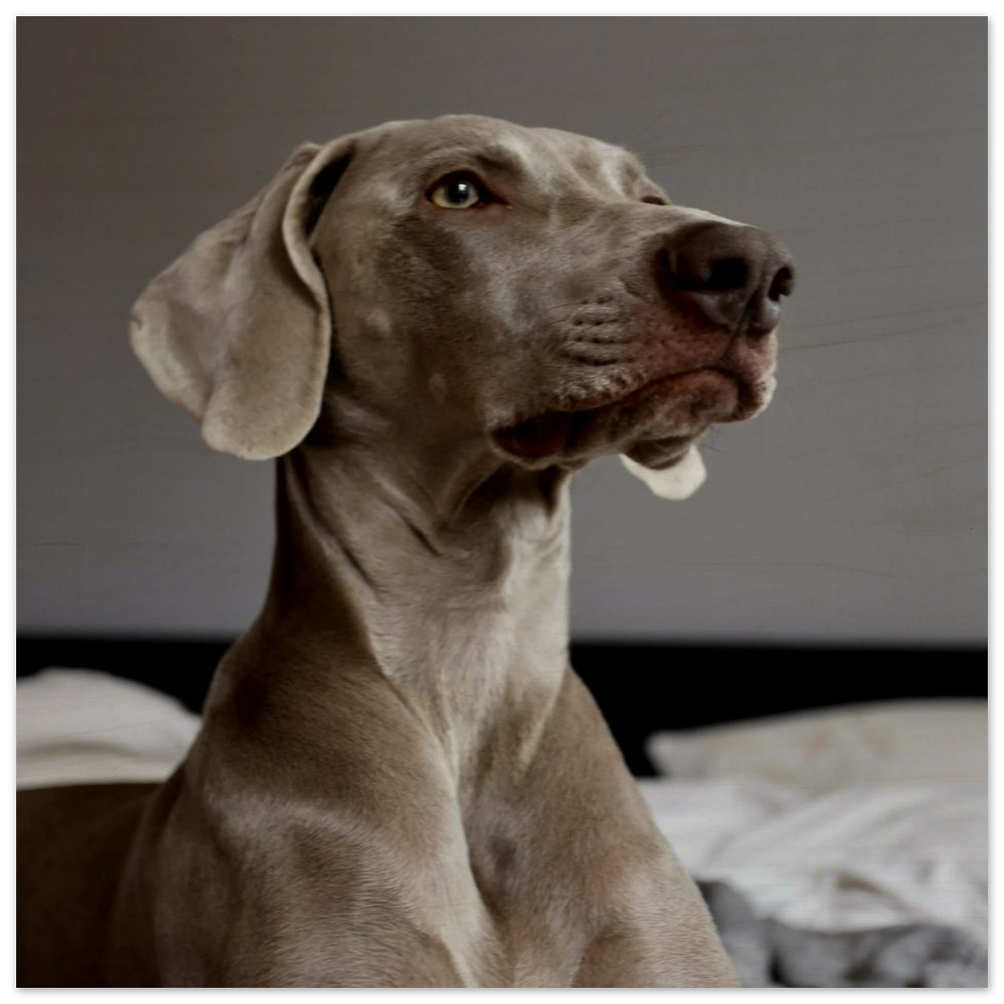 09b916da-3b48-4e36-b280-e5b577568f72