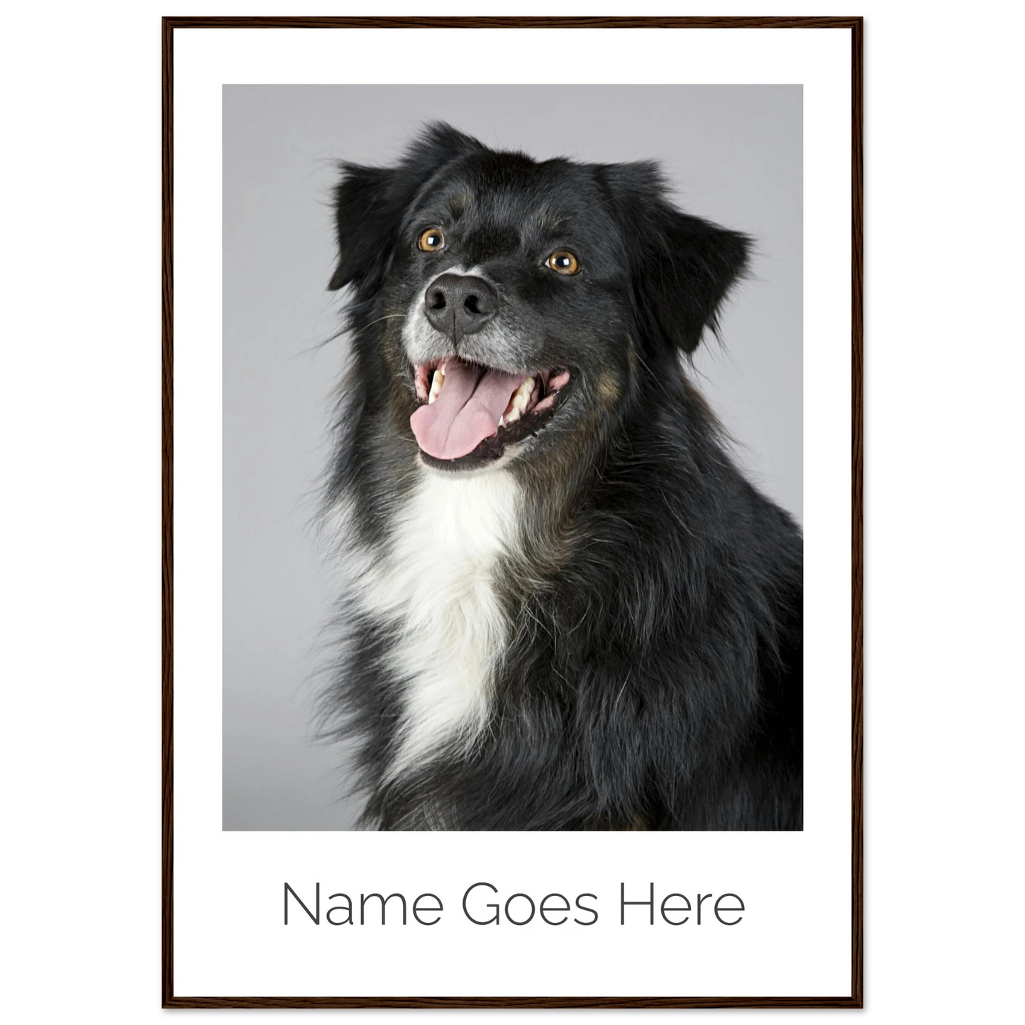 a3de9b6f-d048-4c10-9667-60b308a2c6b9