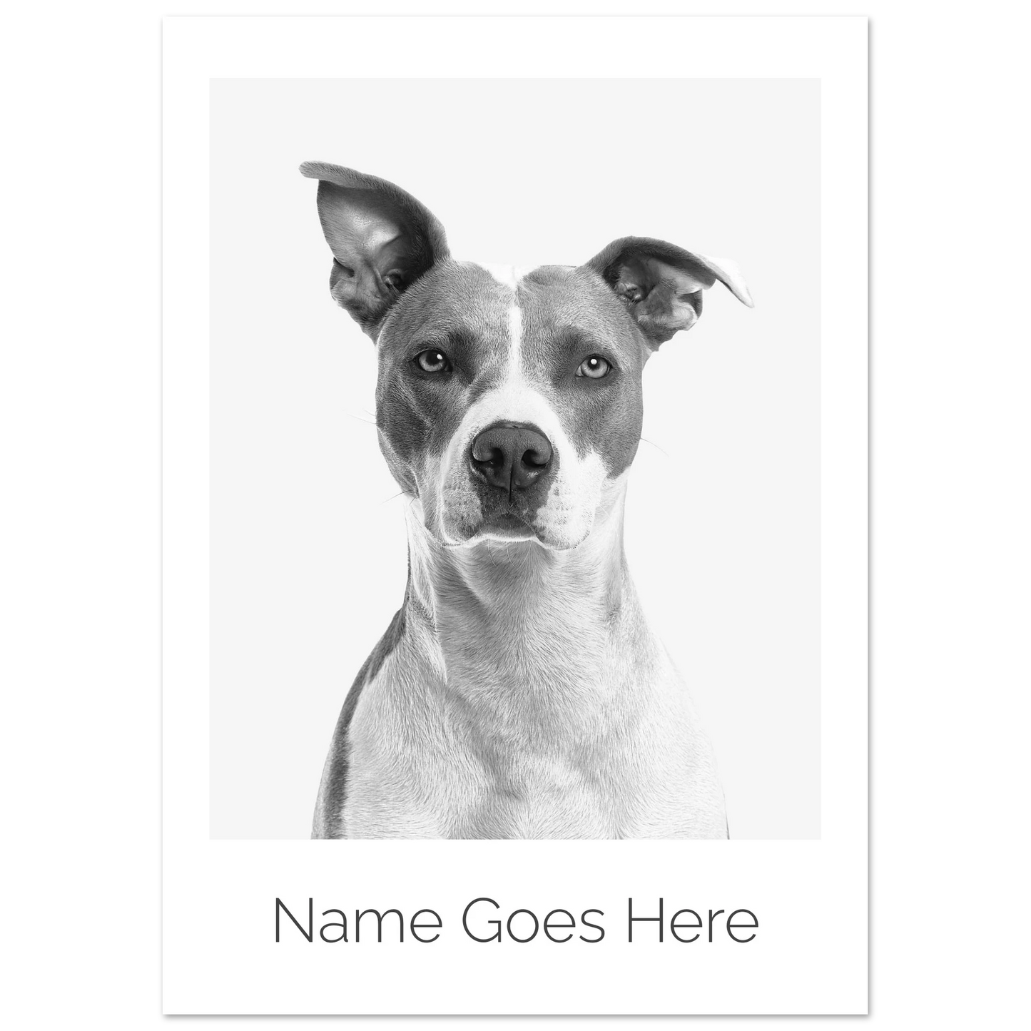 05f44588-ac55-48a1-b292-6046bfd6a3fd