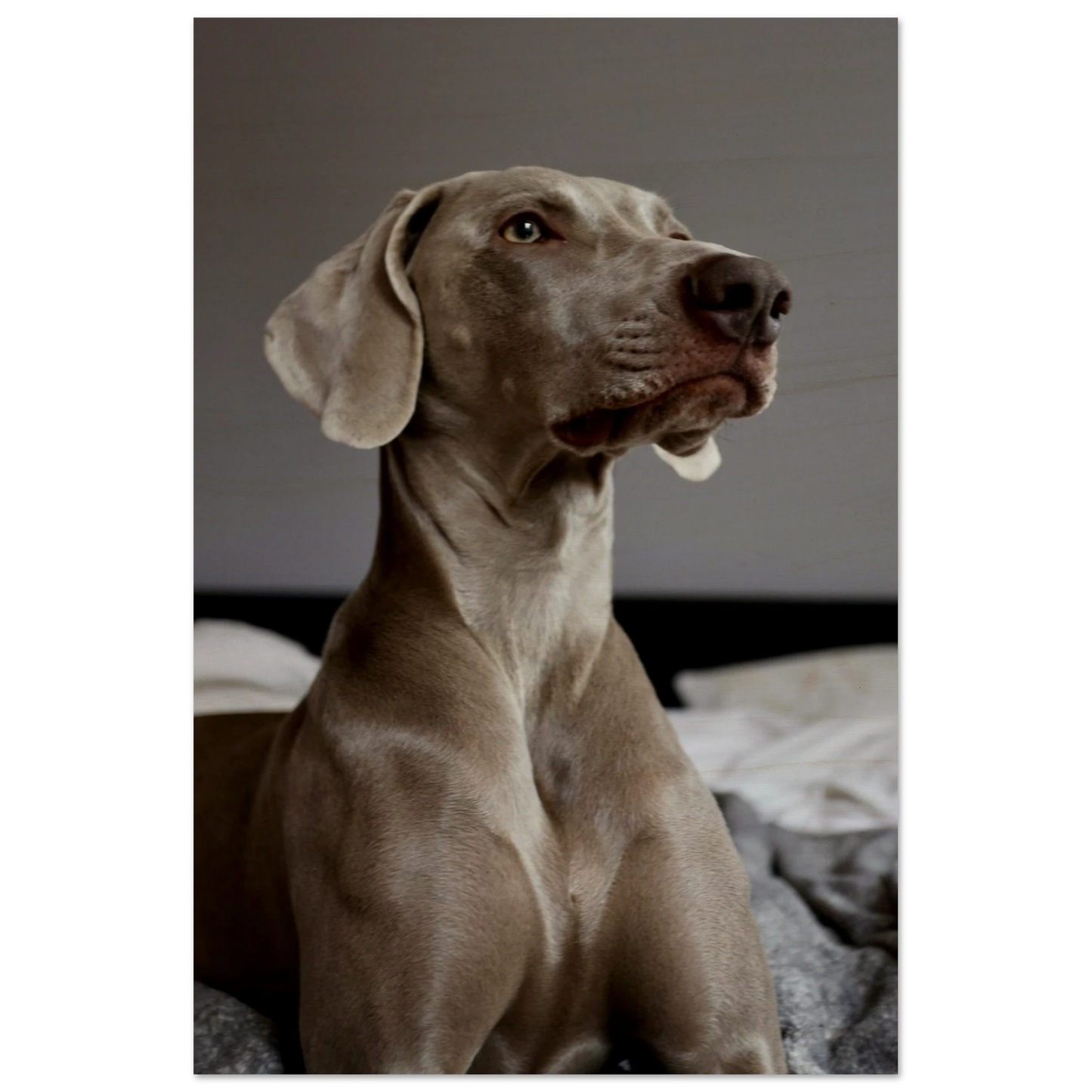 0ac2dd3a-576c-4d41-9439-ce238f9b7d12