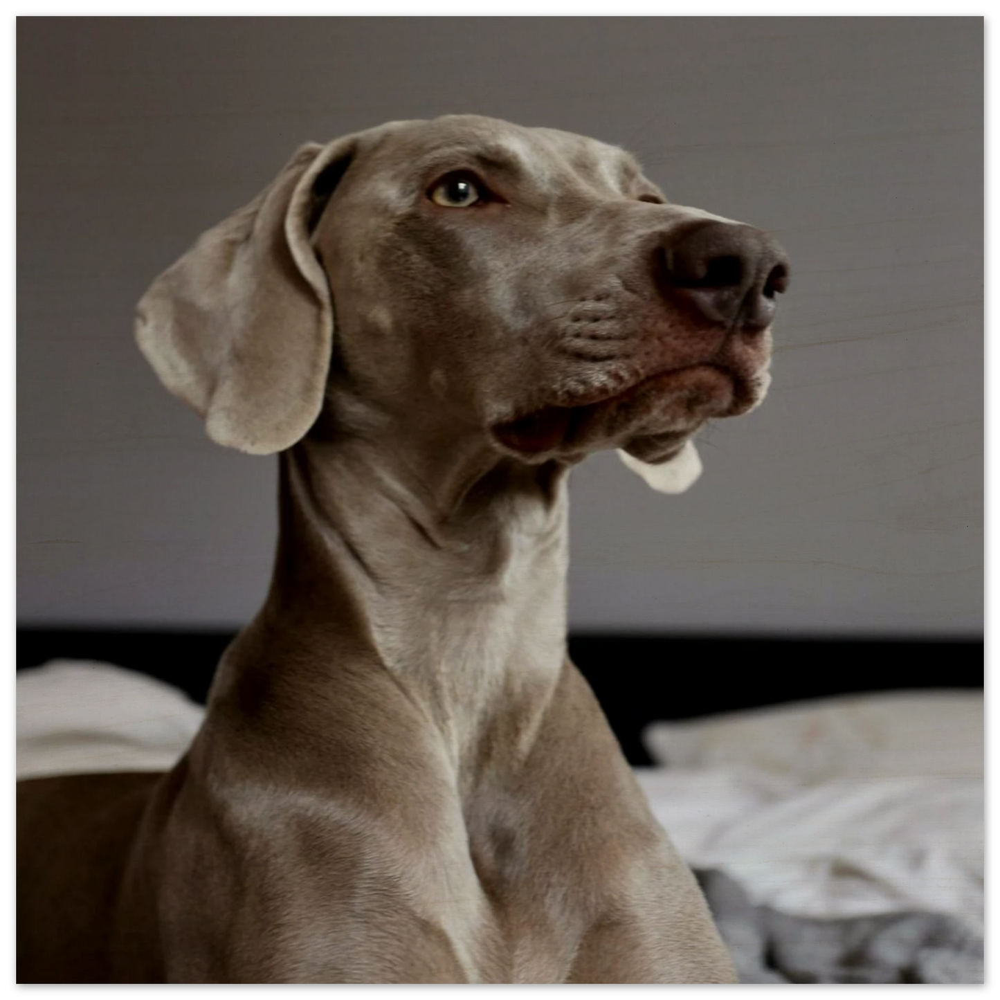 1575a89a-1a0b-4752-bdb9-69ad0afa5d26