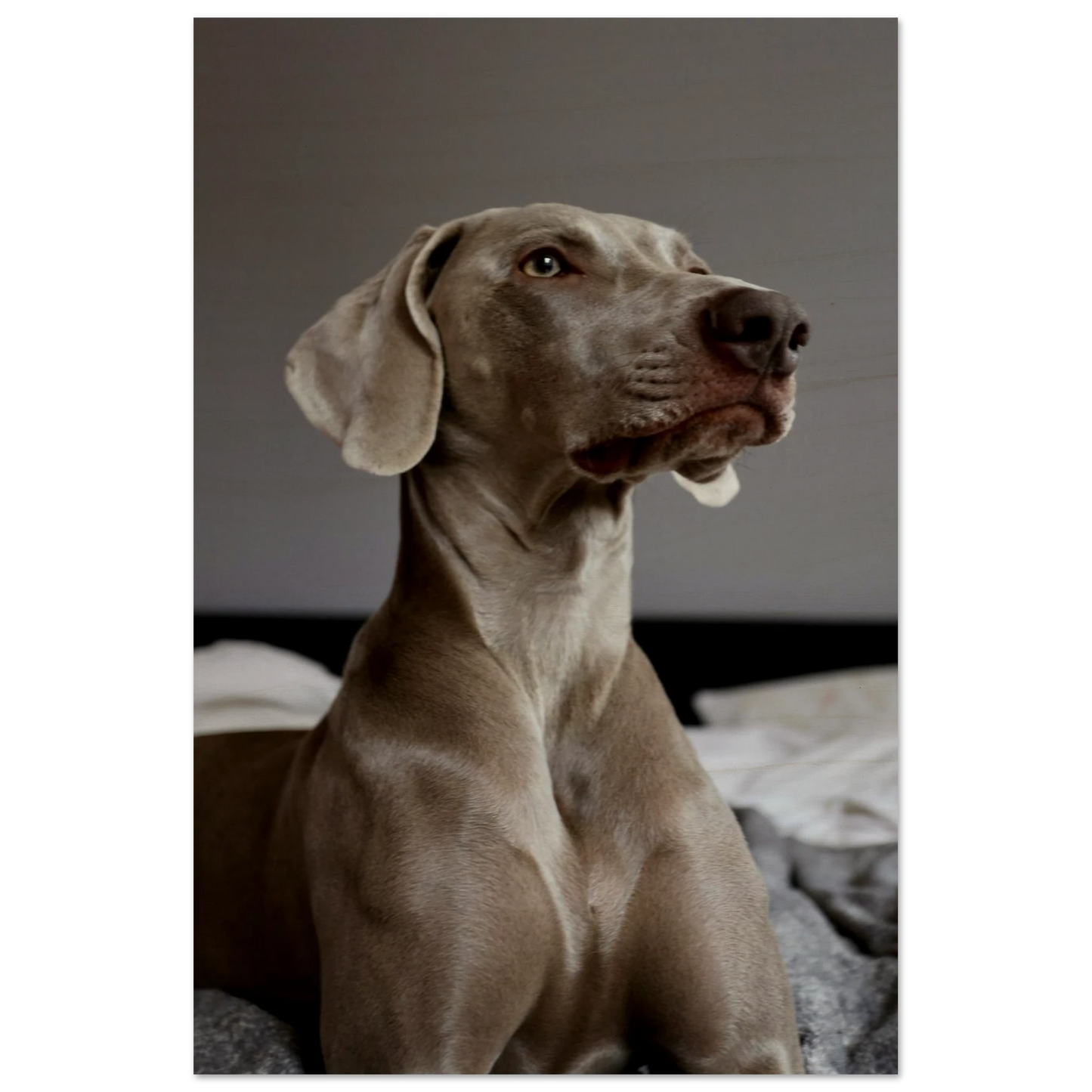 23f59649-7d46-4618-aed5-3a5d3a5fb0f4