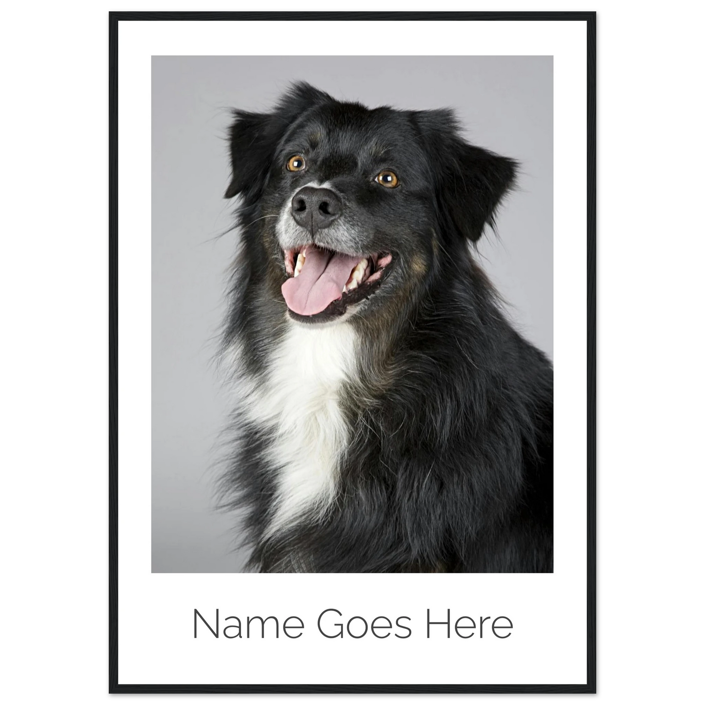 2643c11a-28c7-42a7-82a2-804a0924379f