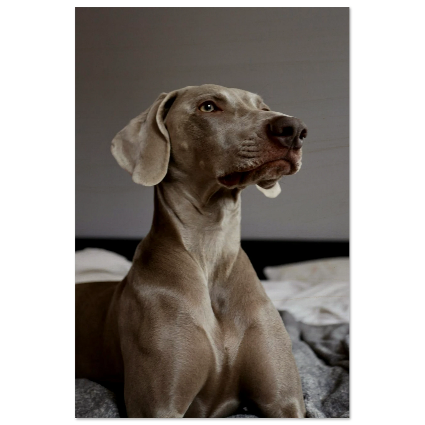 2d10b356-06db-4e8e-9682-73a80072c0d8