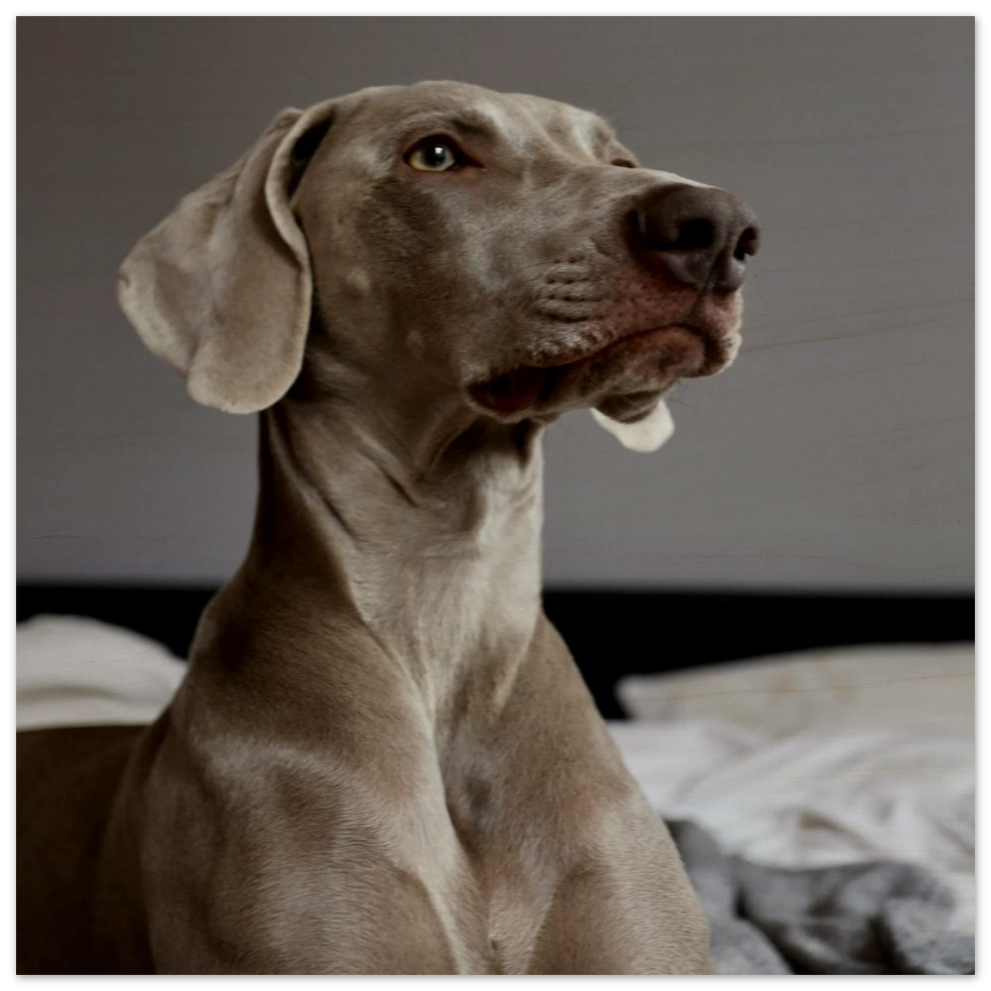 3b337af9-2e0a-4a5d-957e-d23a283dc77a