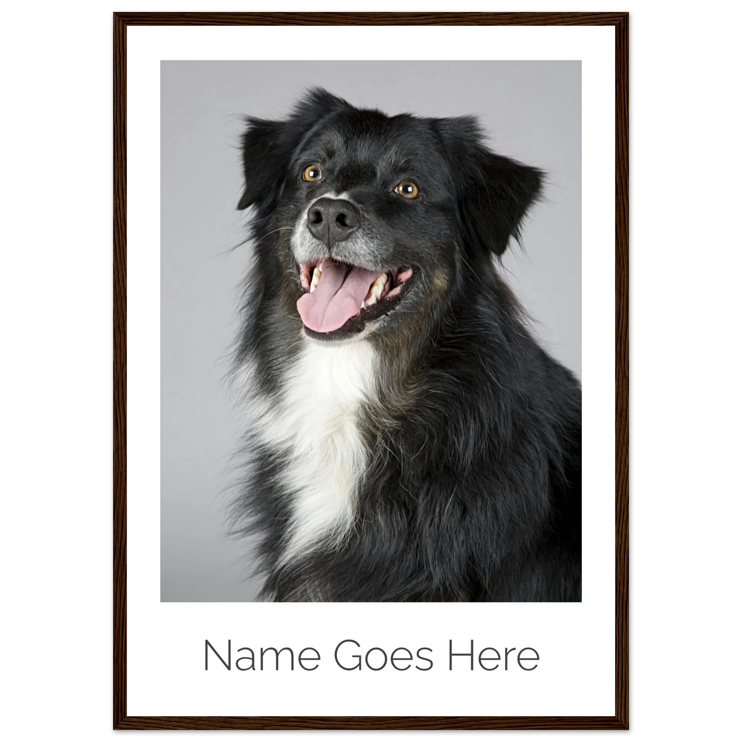 488ad420-9627-4ce7-970d-7c17b630e7c6