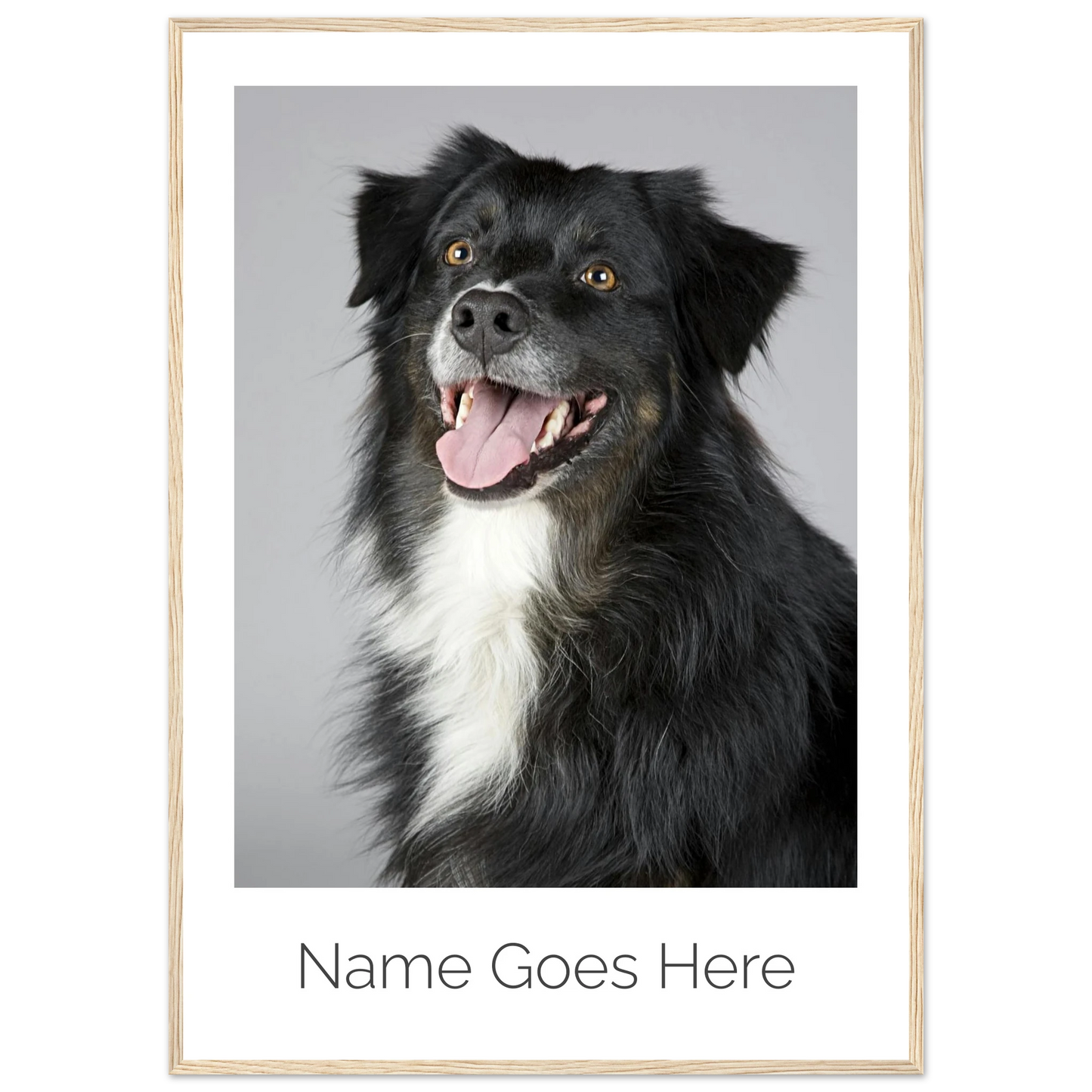 4a02a3a5-cc16-4eb8-b35b-859b0b005af4