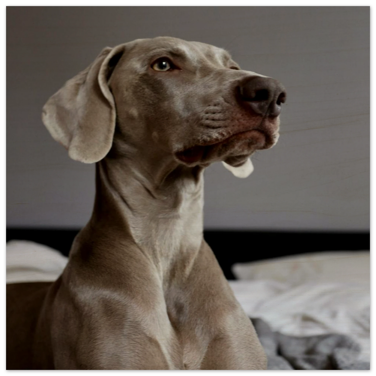 4c6fa306-b620-4bef-a7ca-85ee2e7d83e7