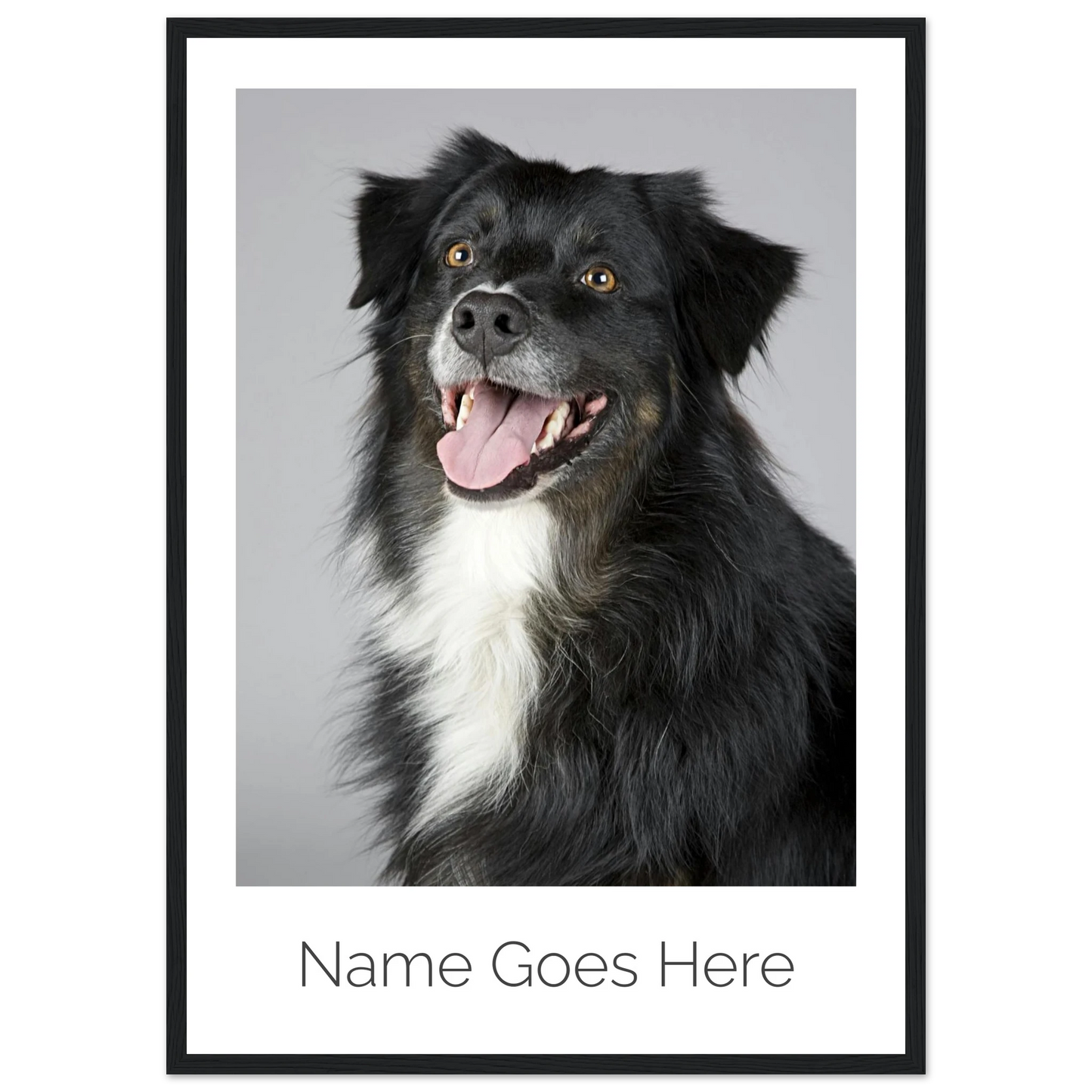 5dc6156a-50d3-4afb-a51f-6c641d06cb6c