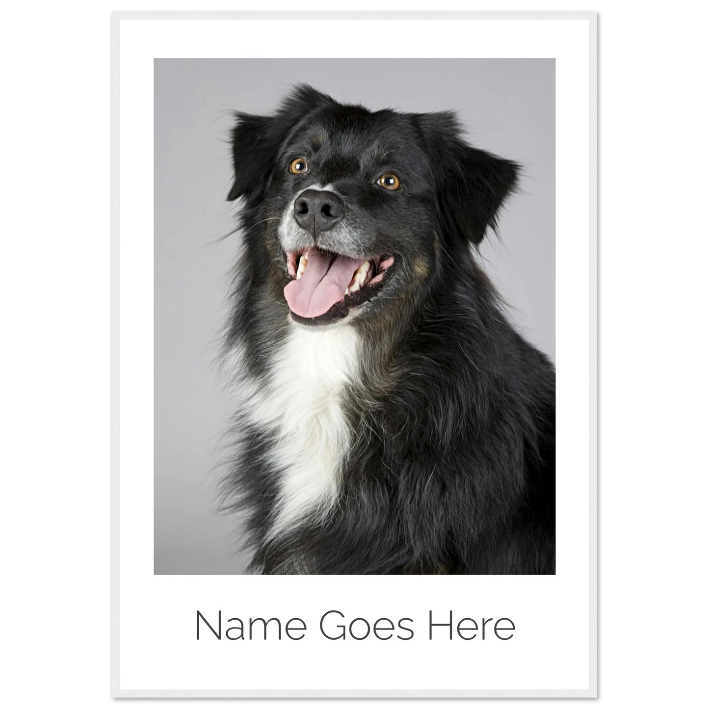 741fd6bd-a982-4196-9e2c-cd2cfe18dce2