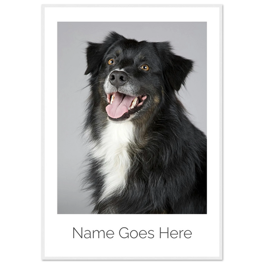 741fd6bd-a982-4196-9e2c-cd2cfe18dce2