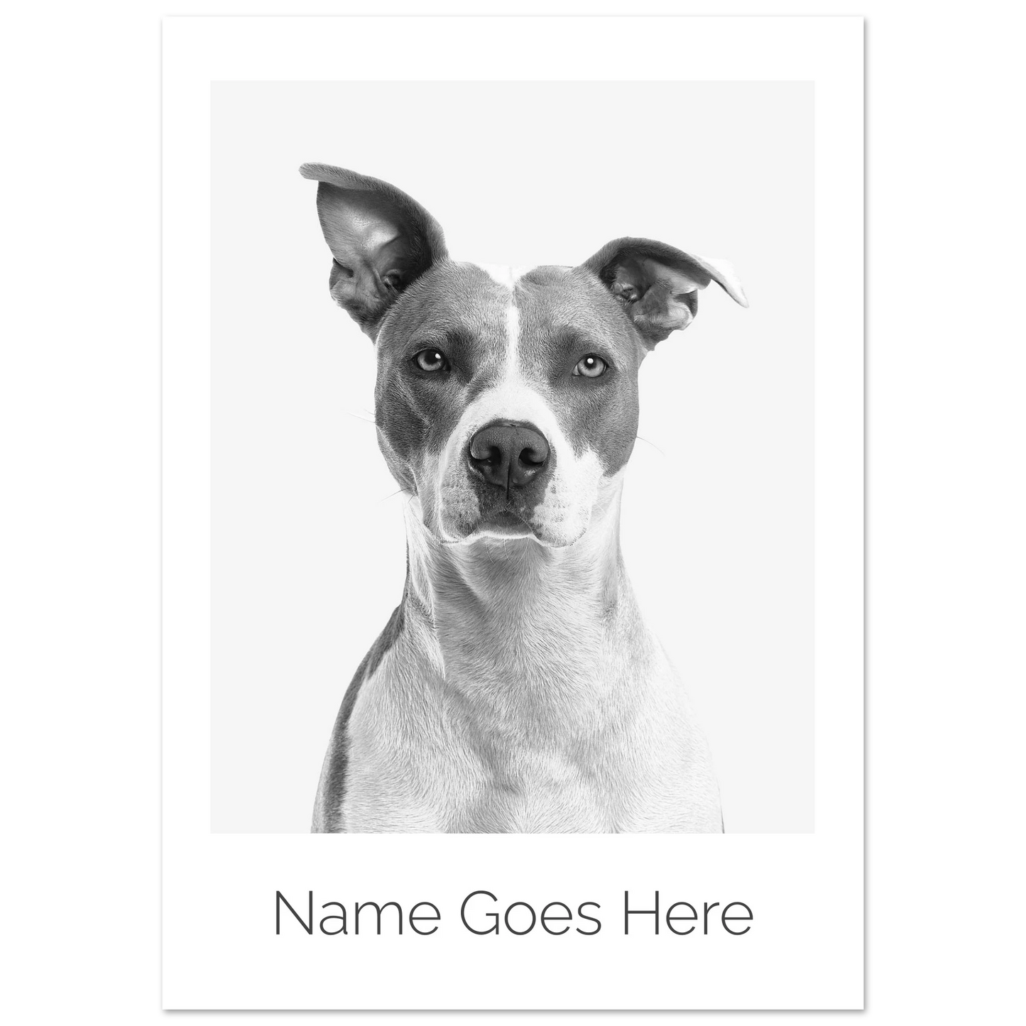 76ebb653-3068-43b4-a872-6b0eb785bc5a