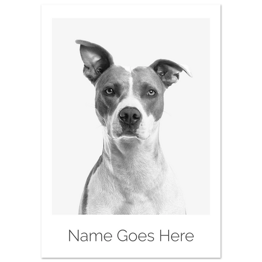 7974a27e-2e32-4c5d-bfee-ebc162eb3868