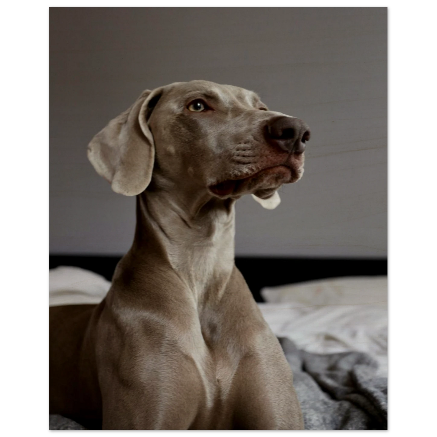 7b05408e-d238-40f2-9e4f-dbf40d50aa07