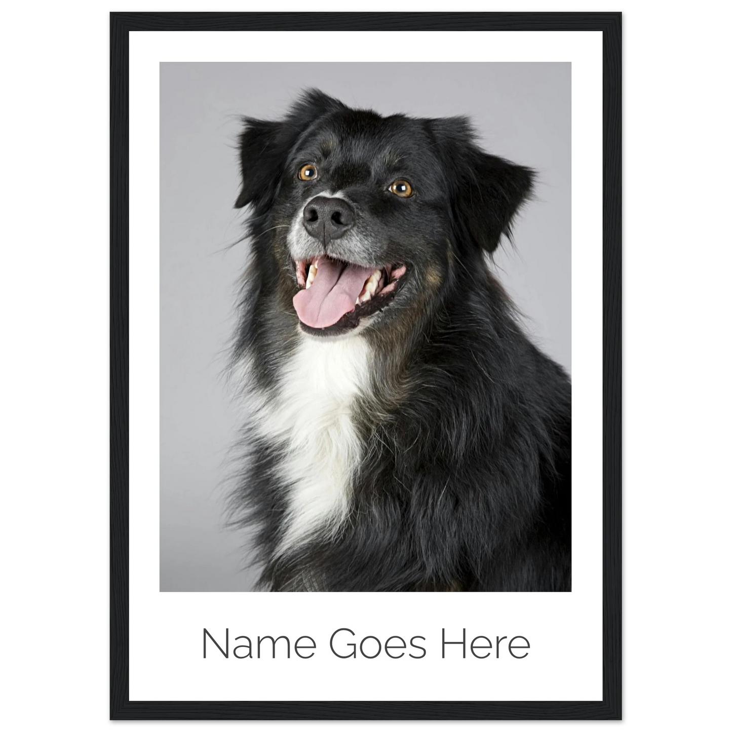 8342deae-4a9c-4b0d-950e-0699260d5a81