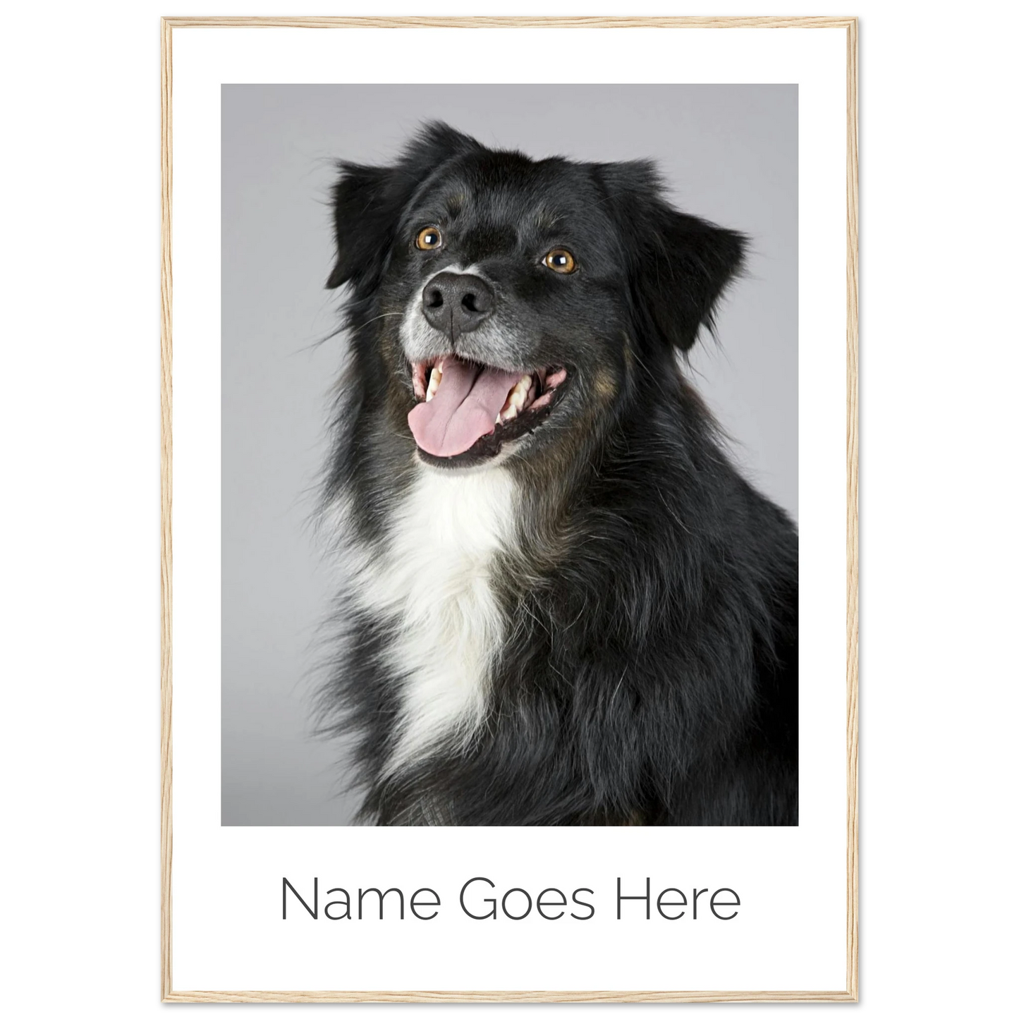 85c9a699-33c3-4081-8ec1-9ac40b3caa1e