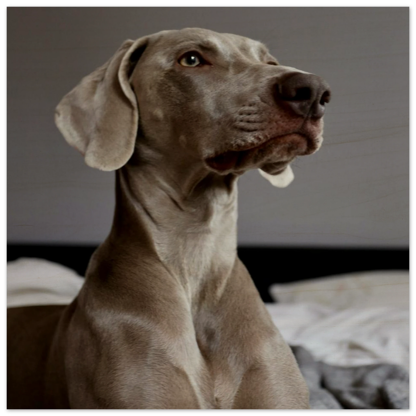 8a60fcf0-afc2-48c4-baeb-fea98432bf2e