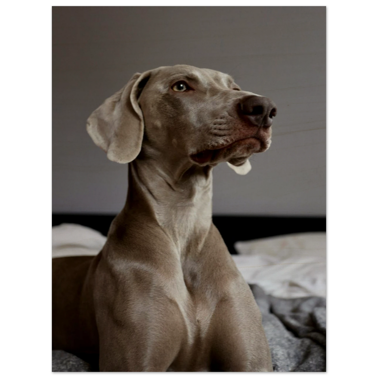 953fe347-7a62-4edf-844c-6581ebea9899