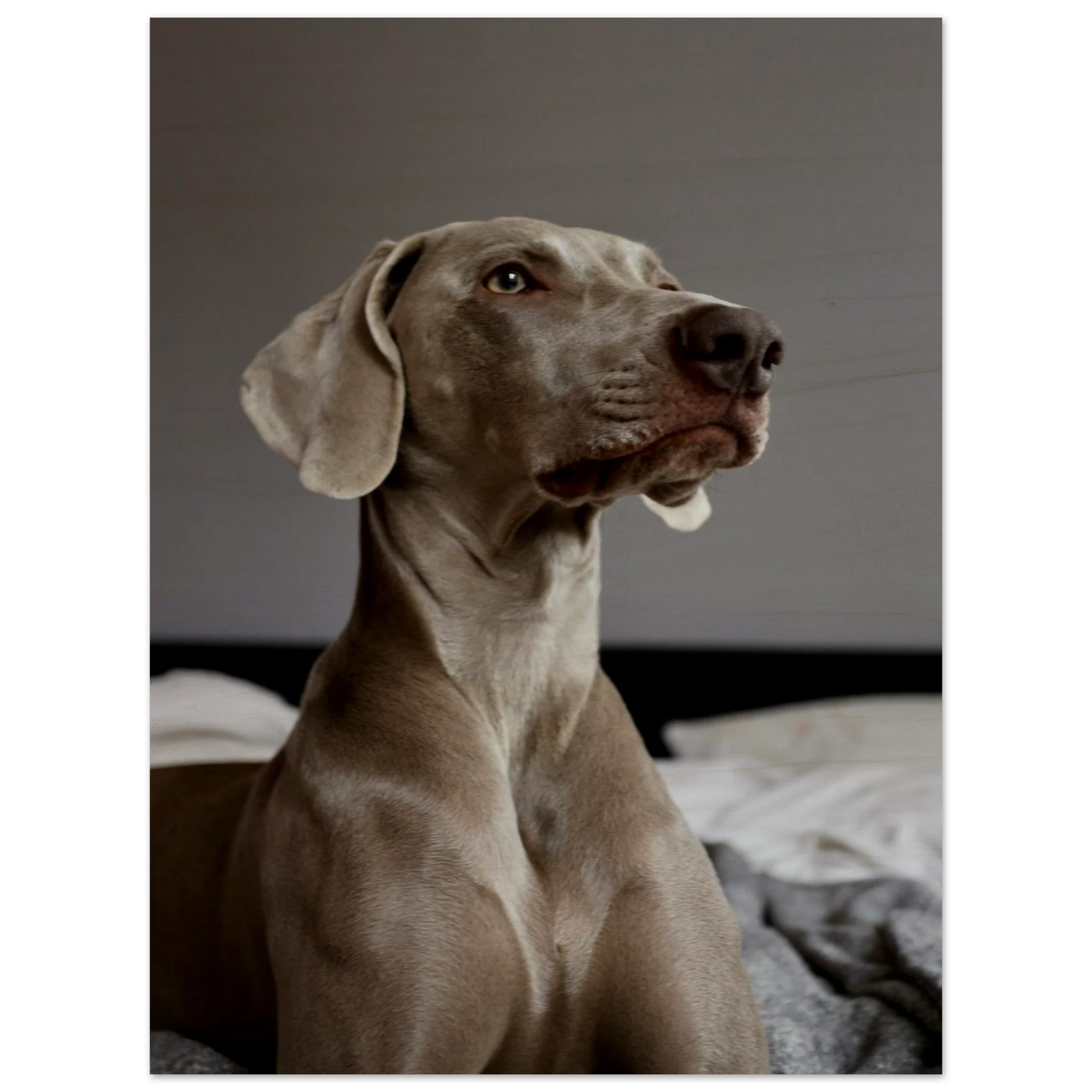 a2a42810-a07f-44ce-9062-9e54b60494e4