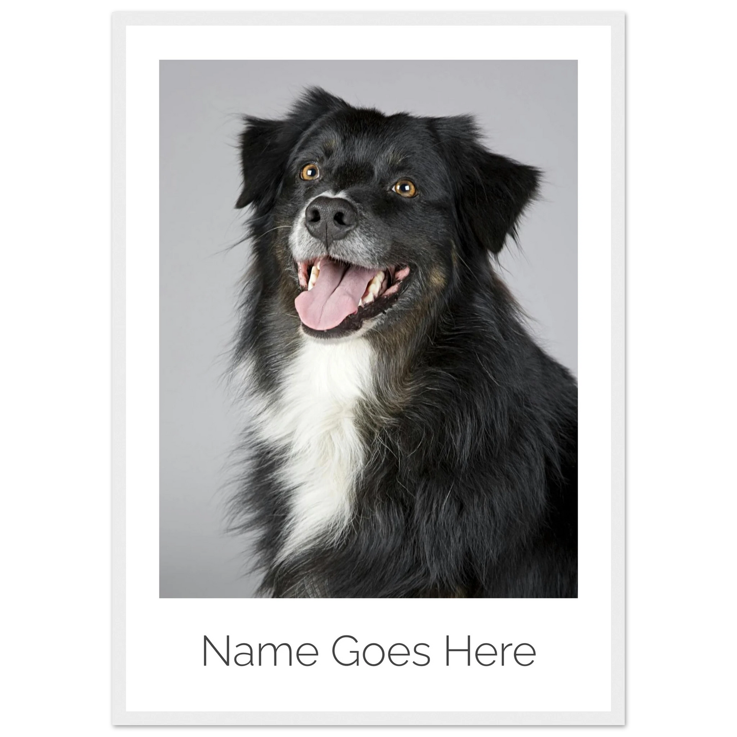 b910dde5-1217-42c0-a678-76784d4c3aa0