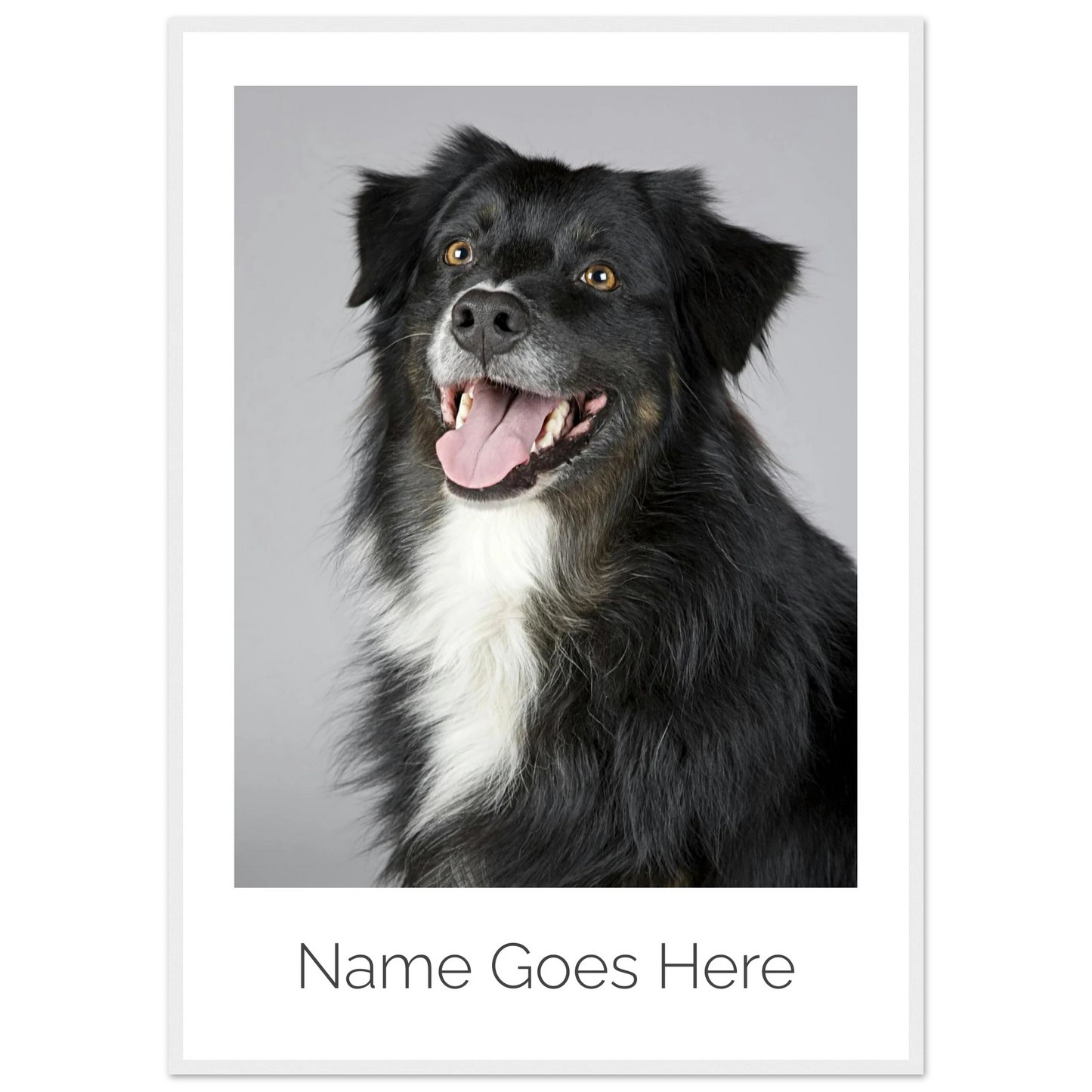 bc29c673-976d-4642-8a3b-33528c430b37