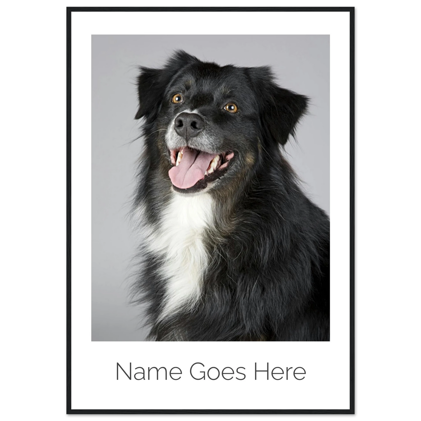 c76b1133-7310-42e6-a37b-6e976c70f1a4