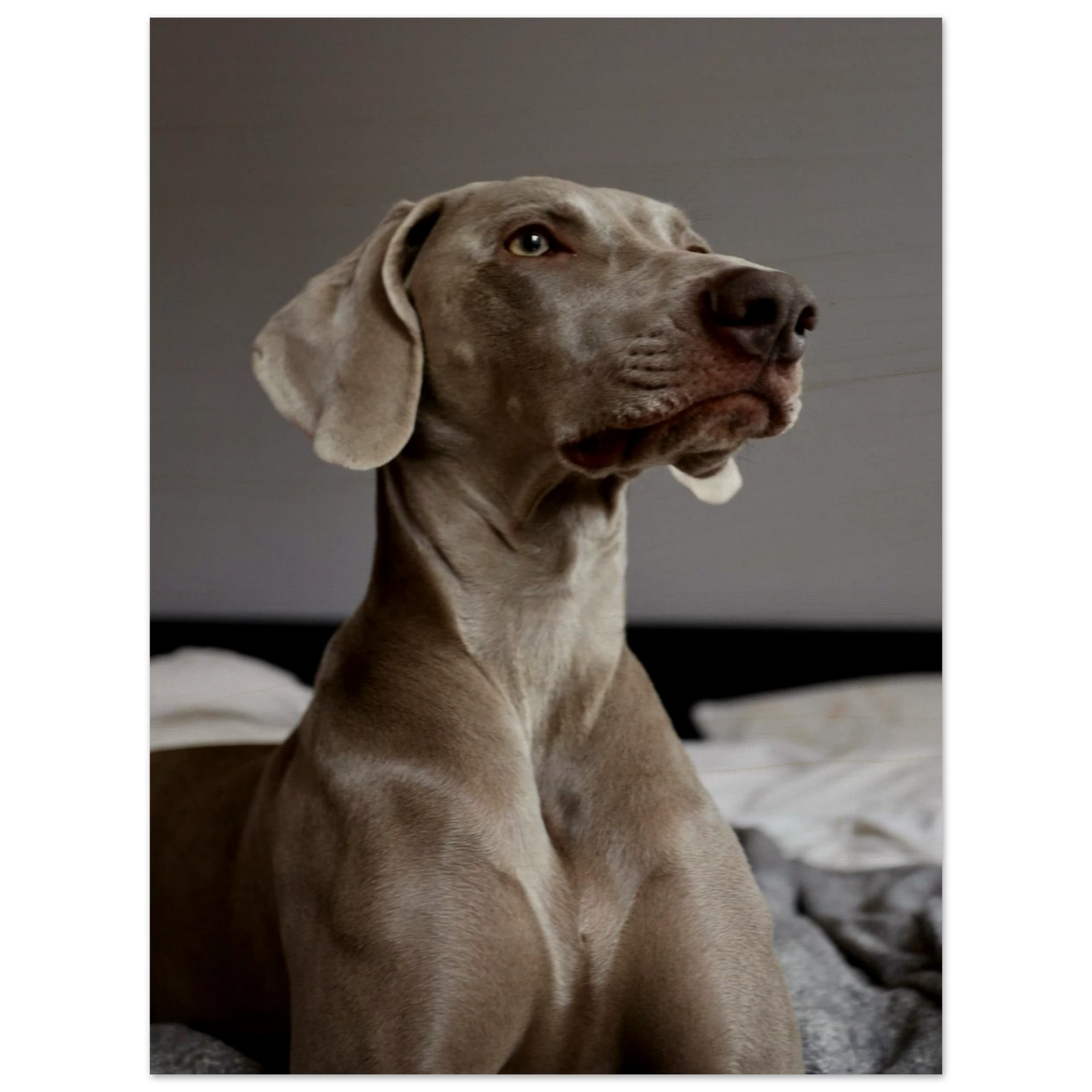 d1038fba-5e0f-4164-ad9f-23fe262f61e7