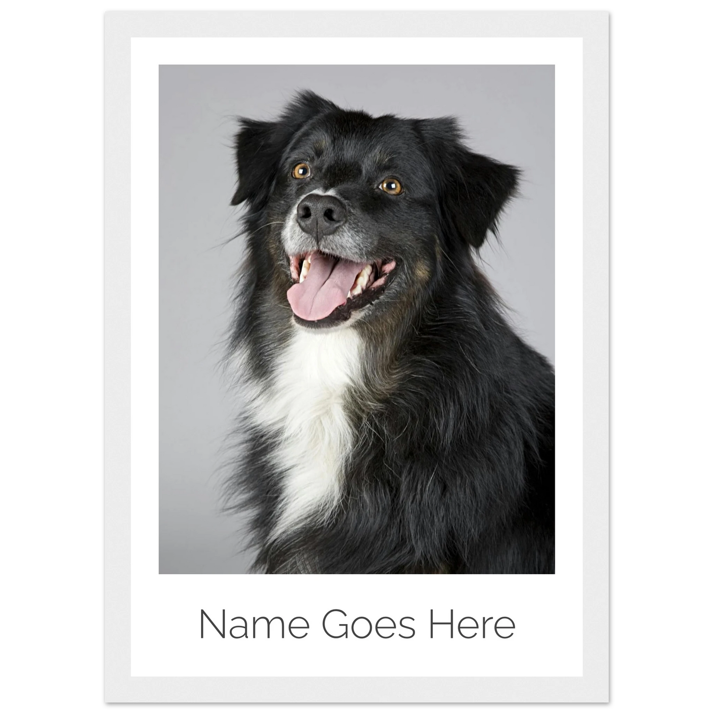 d37f058b-1c70-45d9-9b98-61feab0ff7e9