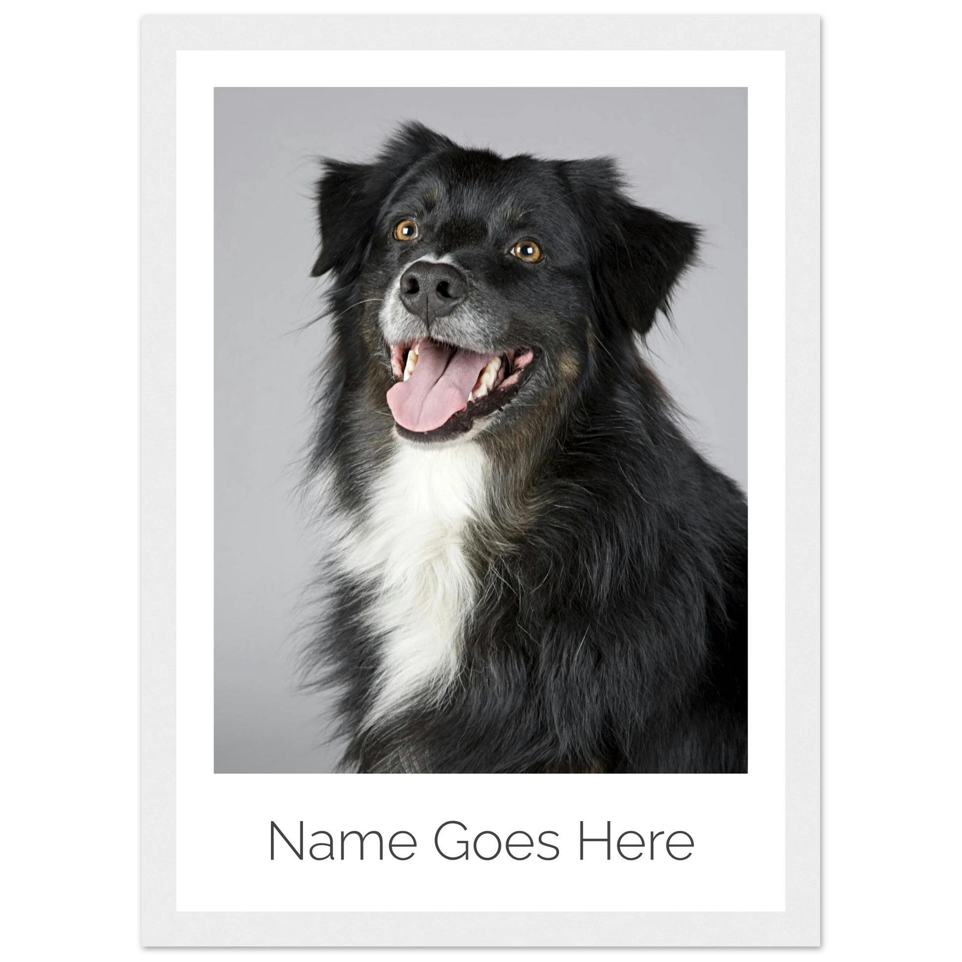 d37f058b-1c70-45d9-9b98-61feab0ff7e9