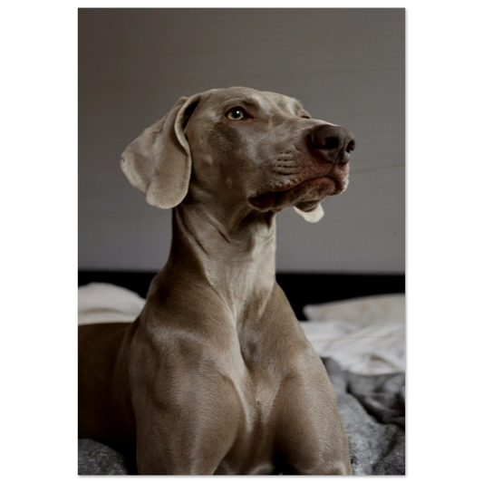 db39bcb2-62f8-49fe-a6f3-537aaf333054